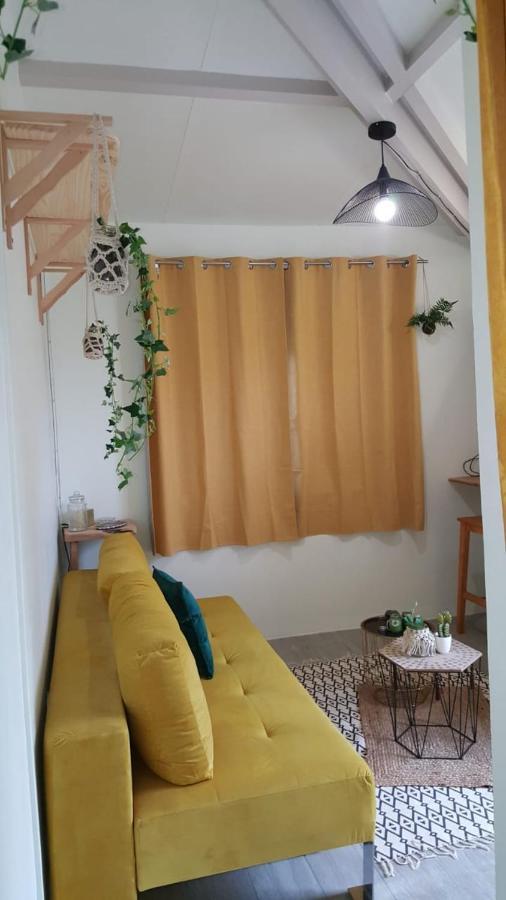 Appartement Le Cacaoyer à Trinité  Extérieur photo