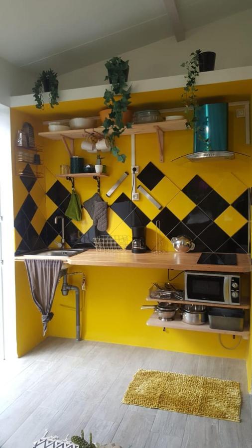 Appartement Le Cacaoyer à Trinité  Extérieur photo